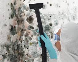 Best Mold Documentation for Insurance Claims  in USA